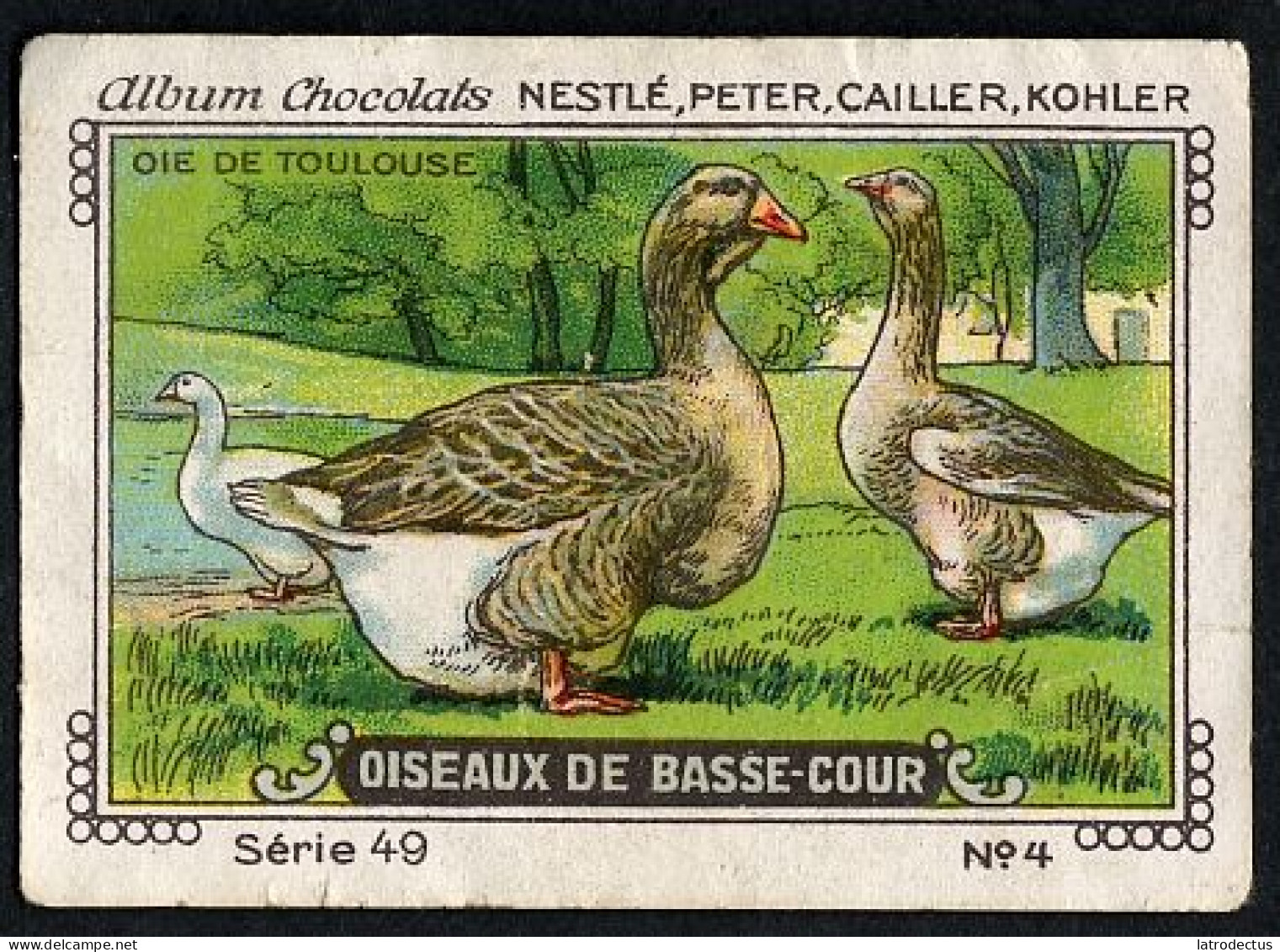 Nestlé - 49 - Oiseaux De Basse-Cour, Farm Birds - 4 - Oie De Toulouse, Toulouse Goose - Nestlé