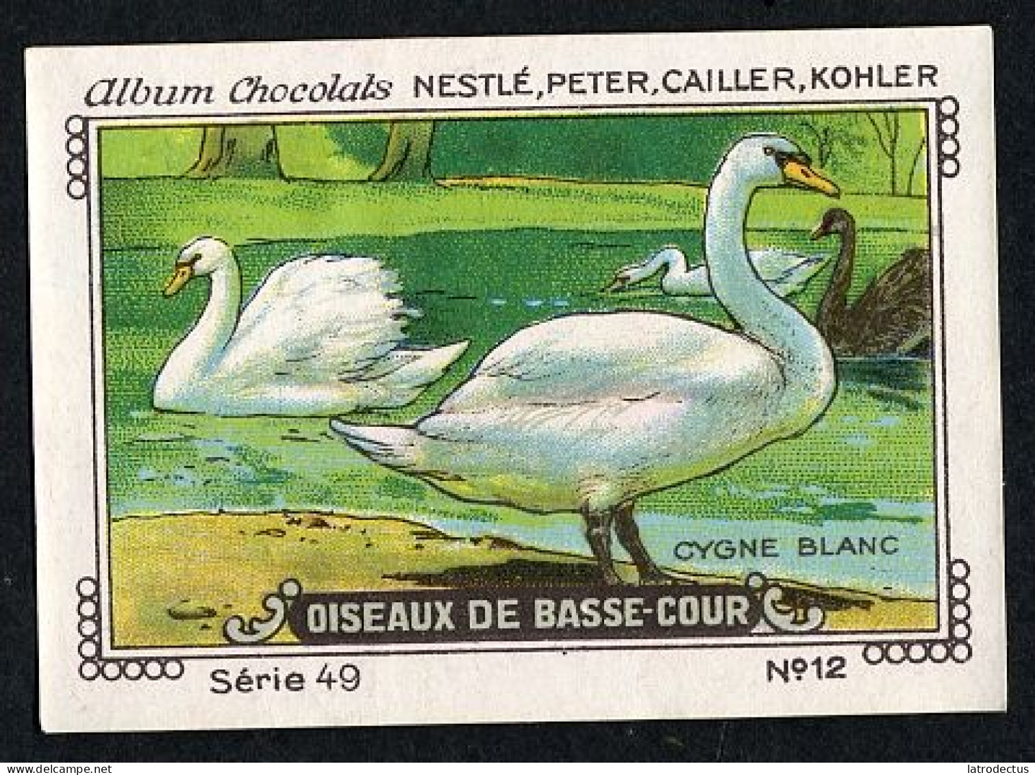 Nestlé - 49 - Oiseaux De Basse-Cour, Farm Birds - 12 - Cygne Blanc, Swan - Nestlé