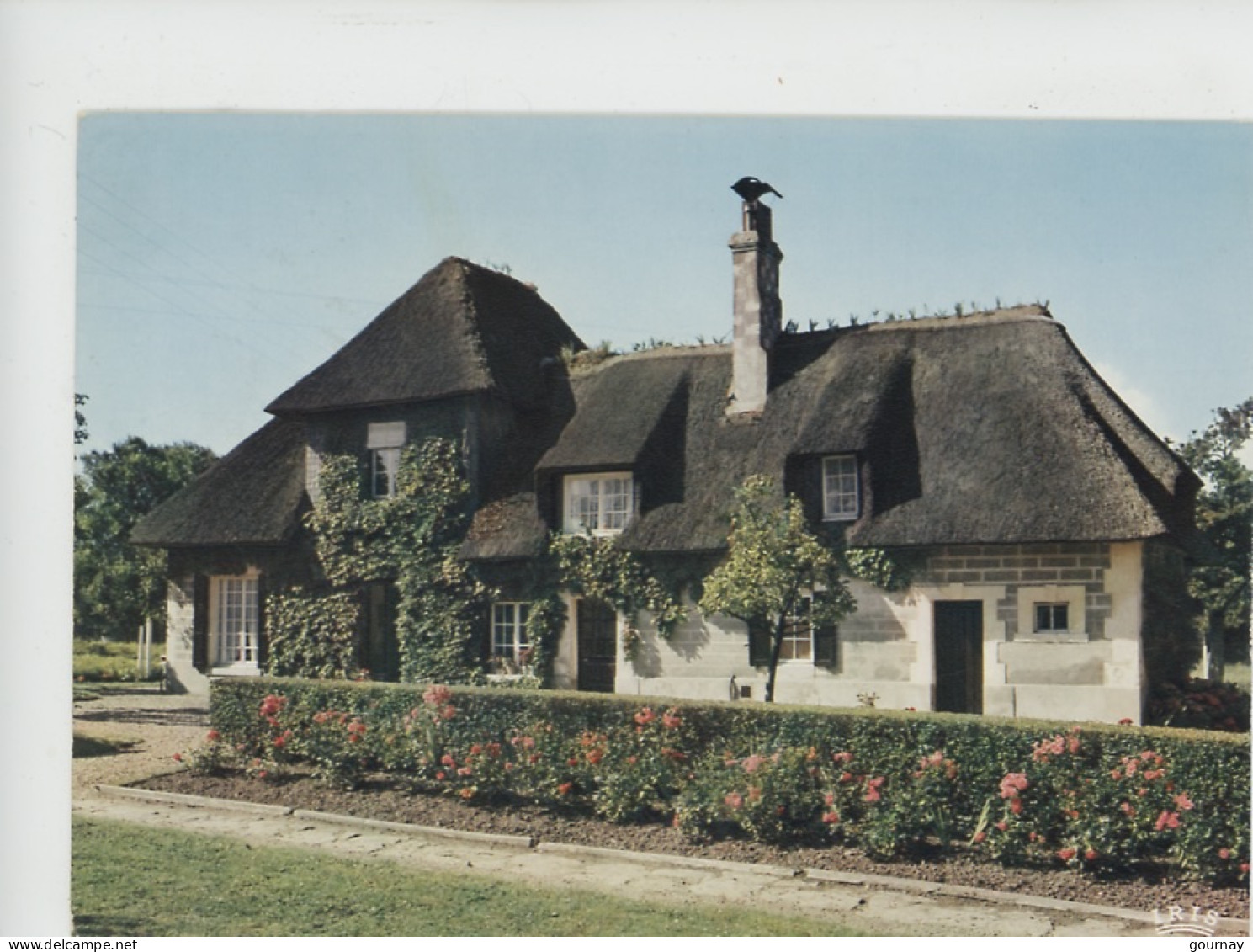 En Normandie : Maison Normande Au Toit De Chaume N°1696 Cap - Haute-Normandie