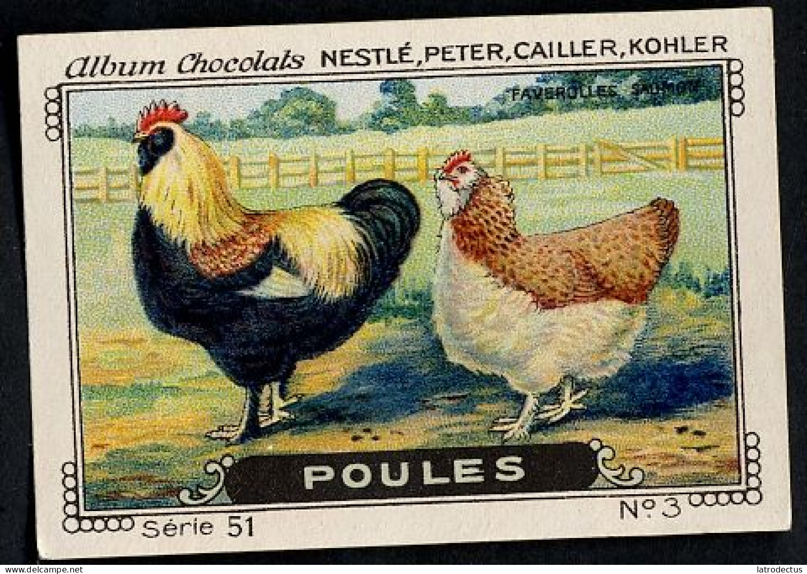 Nestlé - 51 - Poules, Chickens - 3 - Faverolles Saumon - Nestlé