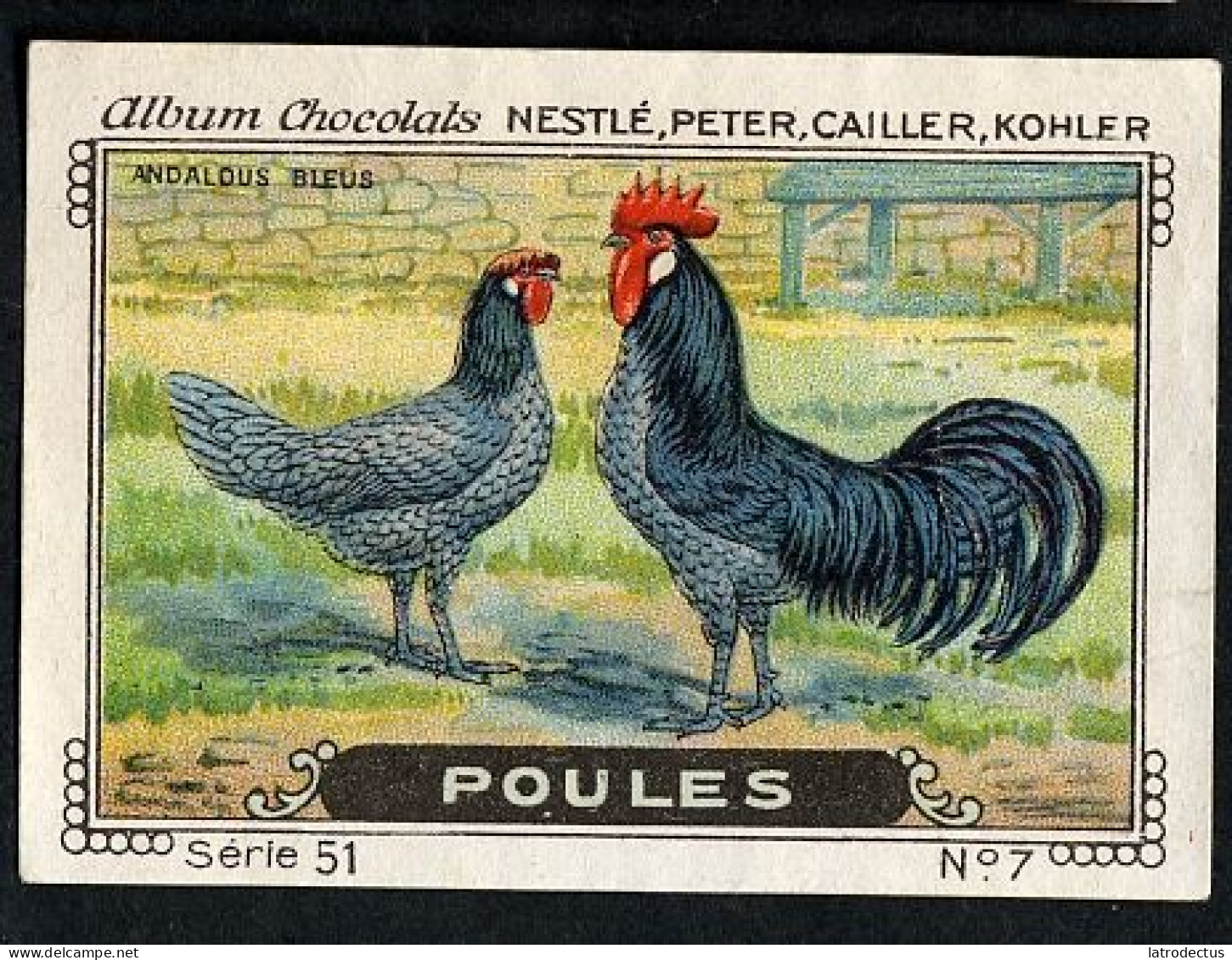 Nestlé - 51 - Poules, Chickens - 7 - Andalous Blues - Nestlé