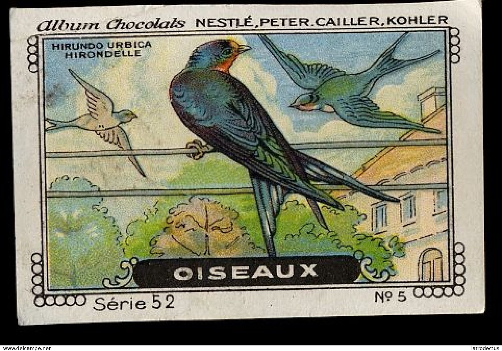 Nestlé - 52 - Oiseaux, Birds - 5 - Hirondelle Rustique, Hirundo Rustica, Barn Swallow, Boerenzwaluw - Nestlé