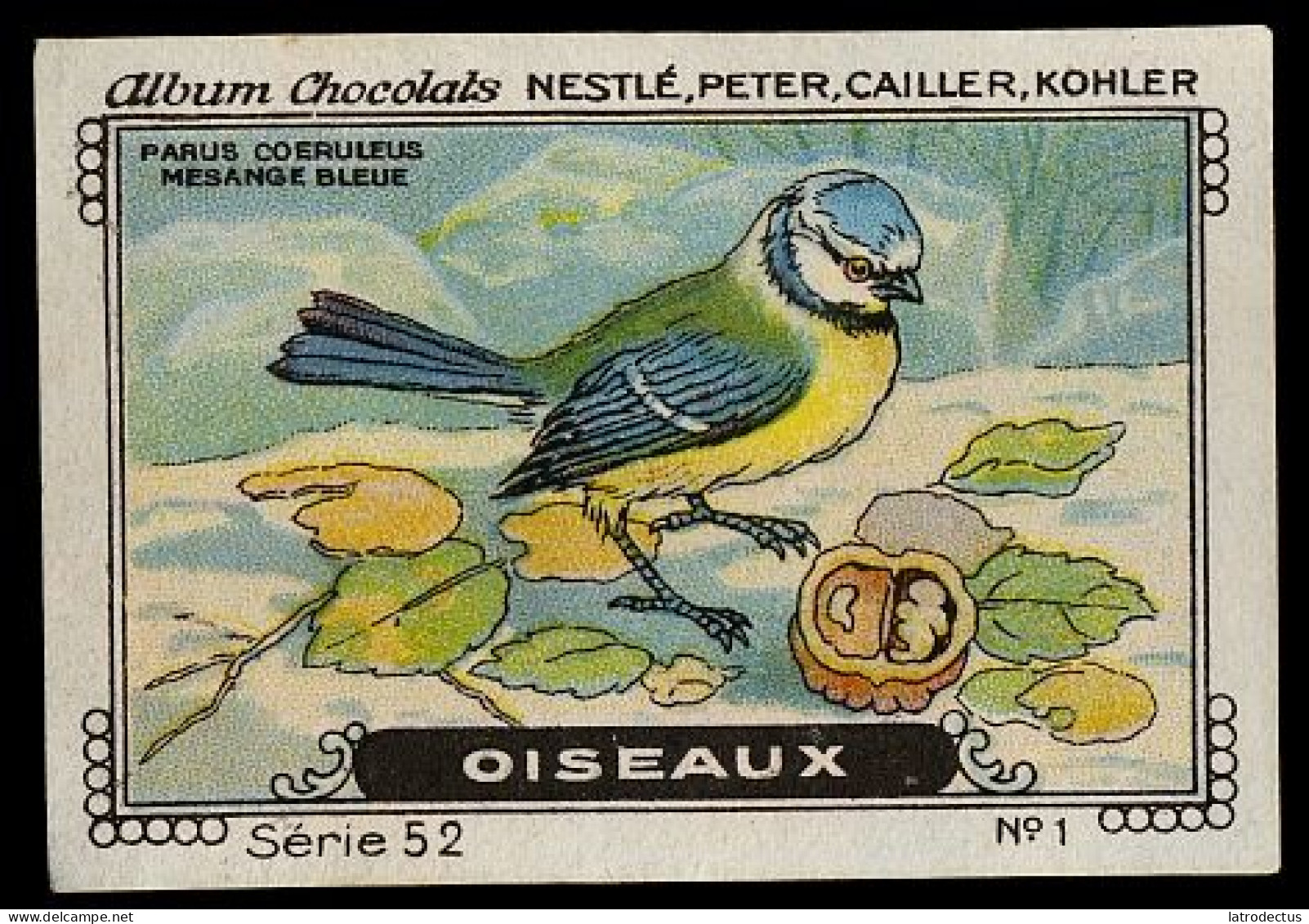 Nestlé - 52 - Oiseaux, Birds - 1 - Mesange Bleue, Cyanistes Caeruleus, Blue Tit, Pimpelmees - Nestlé