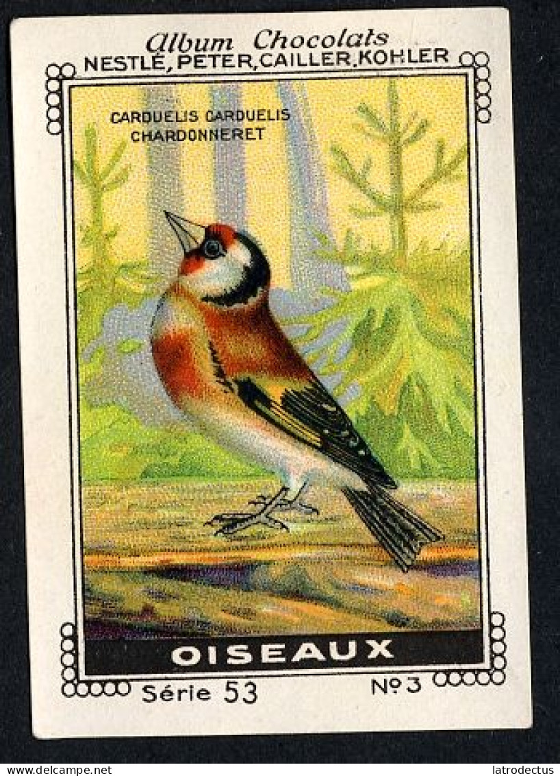 Nestlé - 53 - Oiseaux, Birds - 3 - Chardonneret élégant, Carduelis, Goldfinch, Distelvink - Nestlé