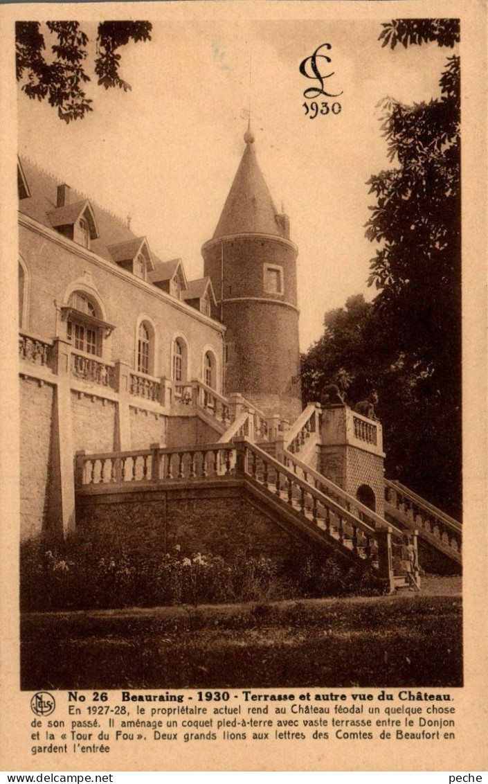 N°103 Z -cpa Beauraing -terrasse Et Autre Vue Du Château- - Beauraing