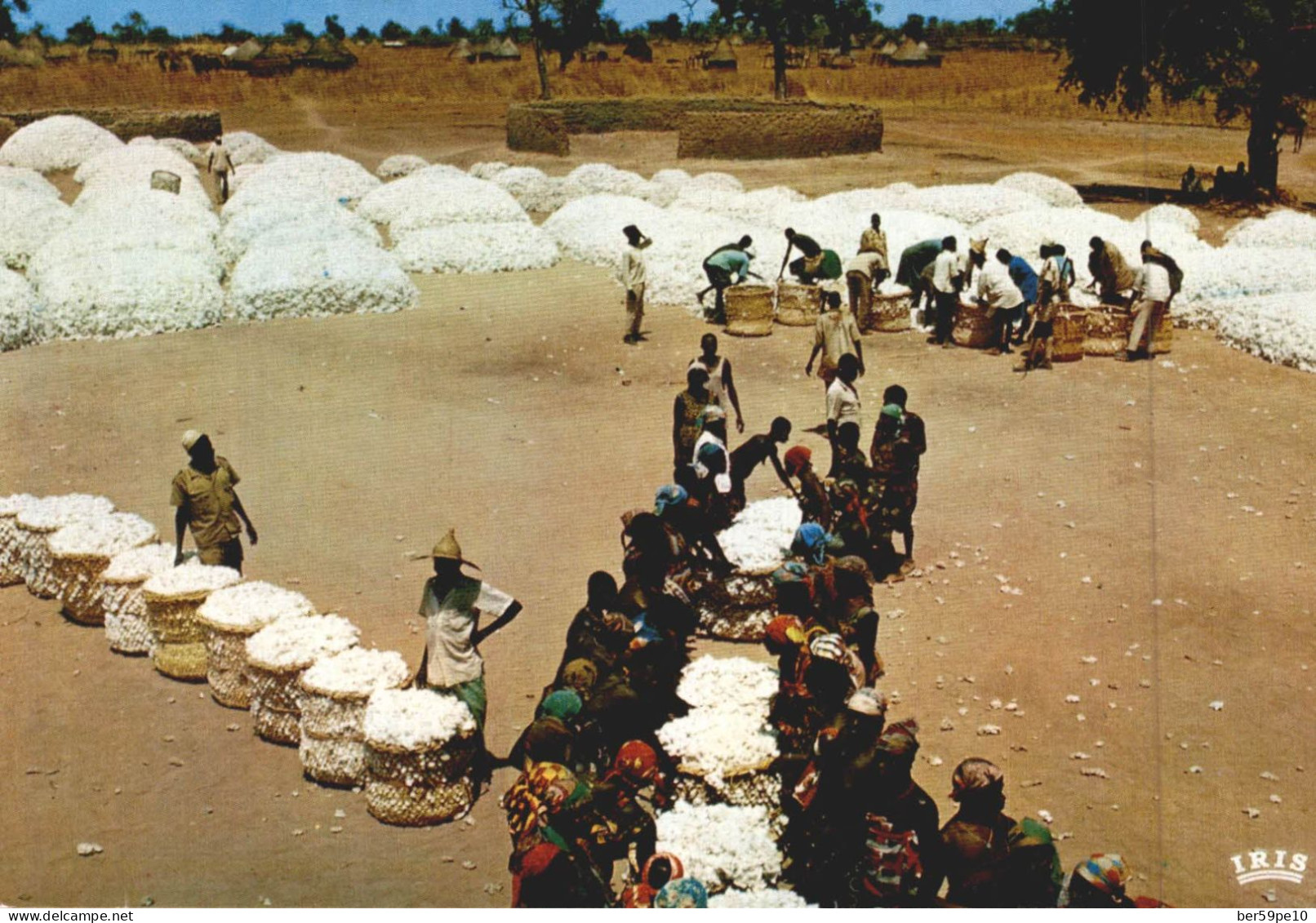 REPUBLIQUE DU TCHAD MARCHE AU COTON - Tchad