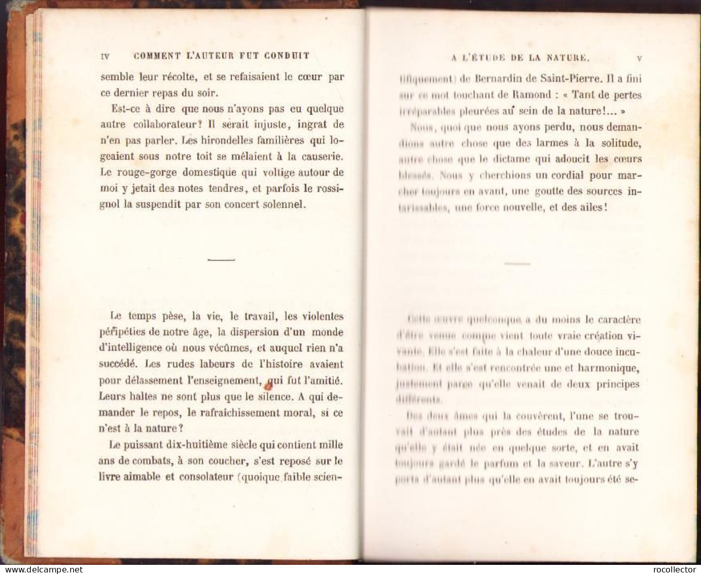 L’oiseau Par J. Michelet, 1858, Paris C2164 - Old Books