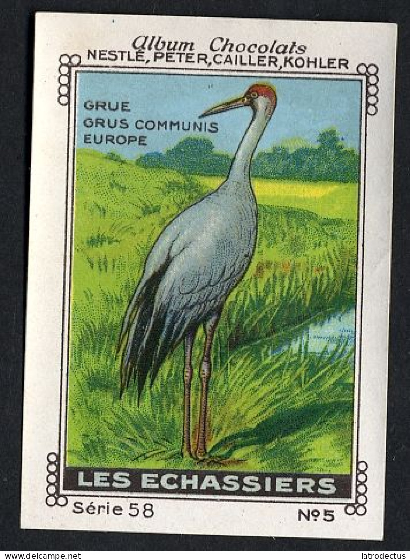 Nestlé - 58 - Les Echassiers, Birds - 5 - Grue, Crane, Kraanvogel - Nestlé