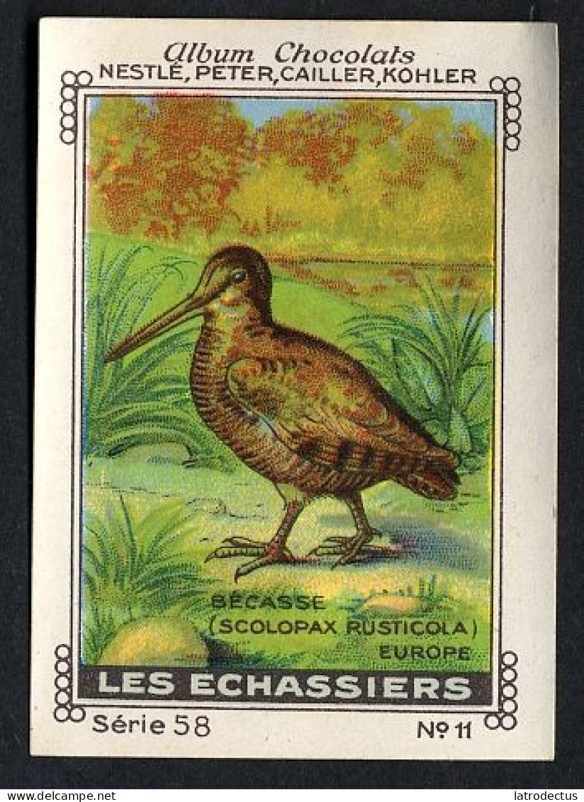 Nestlé - 58 - Les Echassiers, Birds - 11 - Bécasse, Woodcocks - Nestlé