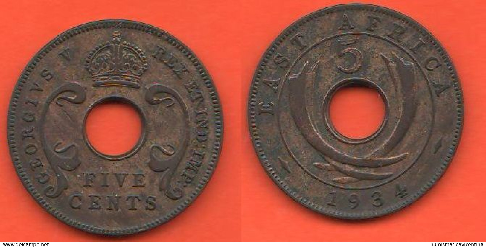 East Africa 5 Cents 1934 Great Britain Protectorate Oriental Afrique Bronze Coin King Georgius V° - Colonie
