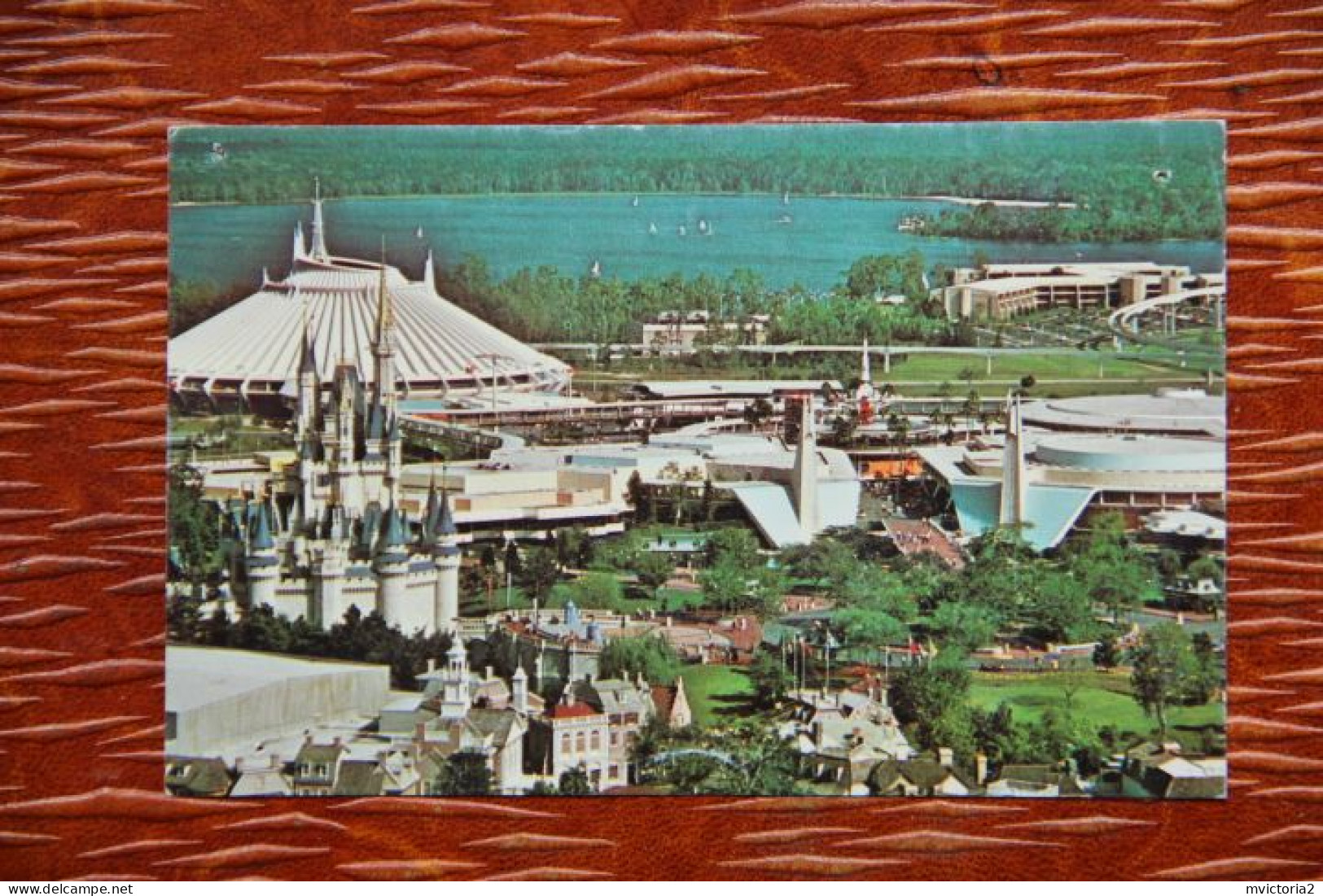 WALT DISNEY WORLD - Disneyworld