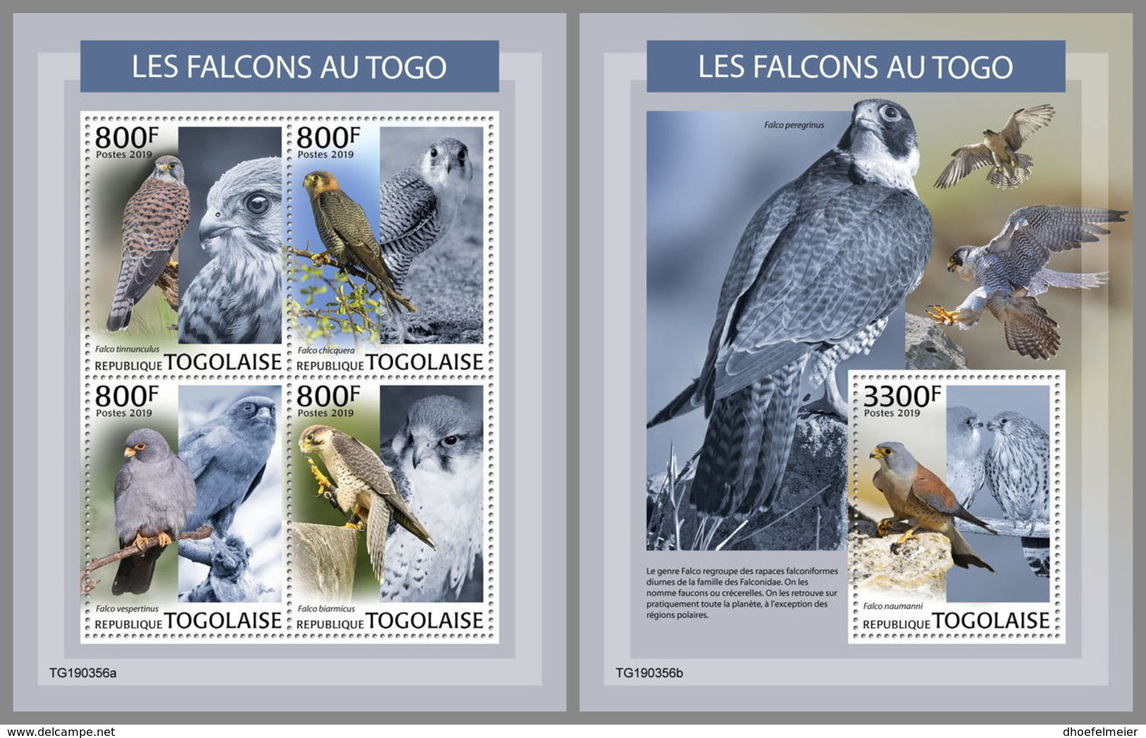 TOGO 2019 MNH Falcons In Togo Falken Faucons M/S+S/S - OFFICIAL ISSUE - DH1937 - Aigles & Rapaces Diurnes