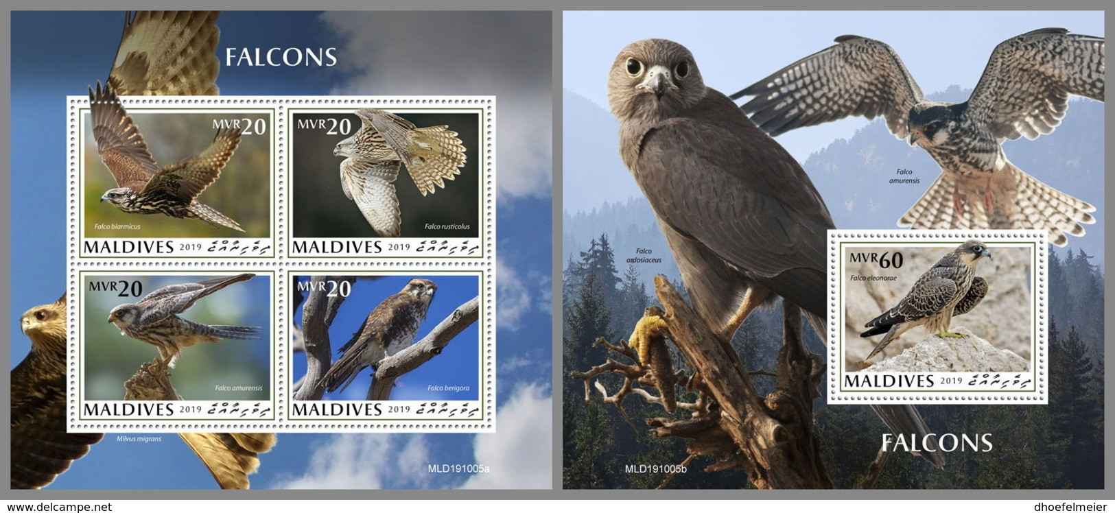 MALDIVES 2019 MNH Falcons Falken Faucons M/S+S/S - OFFICIAL ISSUE - DH2008 - Eagles & Birds Of Prey