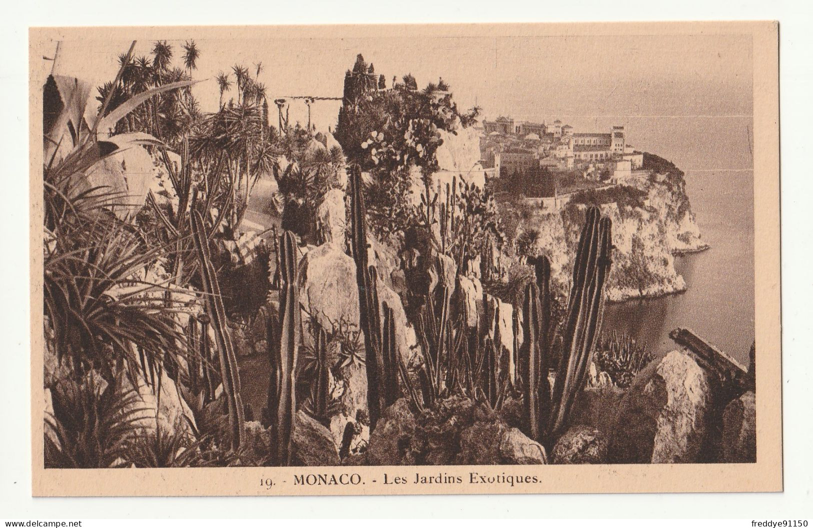 MONACO . LES JARDINS EXOTIQUES . N°19 - Exotic Garden