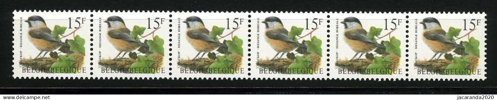 België R81a - Vogels - Oiseaux - Buzin (2732) - Strook Van 6 ZONDER NUMMER - SANS NUMERO - ZELDZAAM - RARE - LUXE - Rouleaux