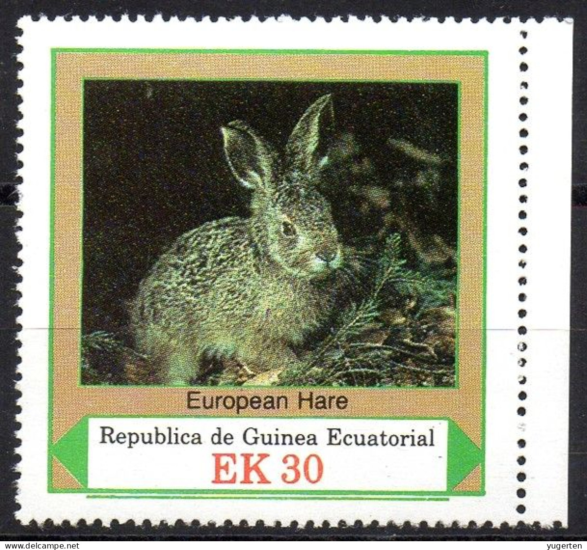 EQUATORIAL GUINEA - 1v - MNH - Hare - Lapin Rabbit Kaninchen Conejo Coniglio Lapins Rabbits Hase Conejos Conigli - Hasen