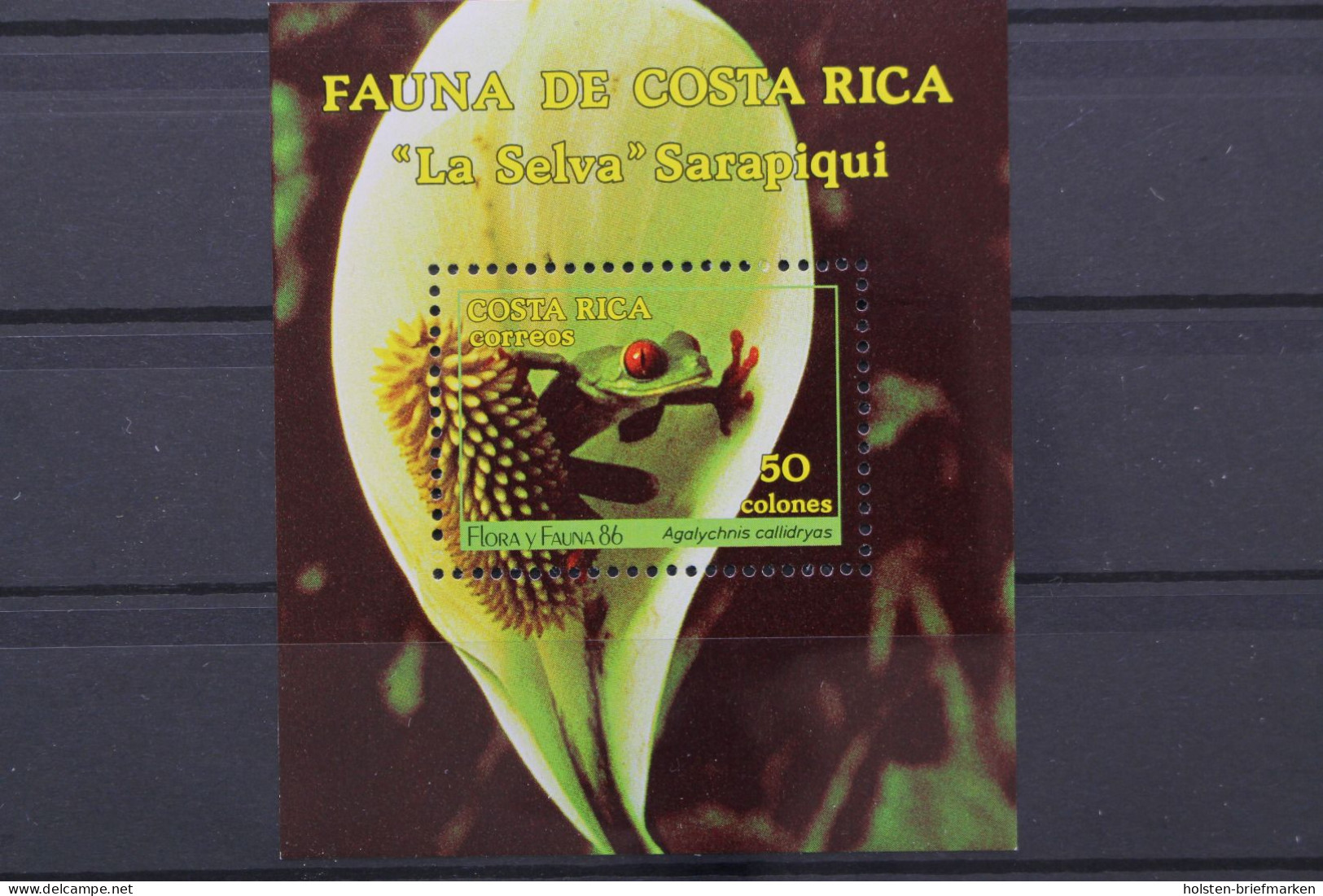 Costa Rica, MiNr. Block 13, Postfrisch - Costa Rica