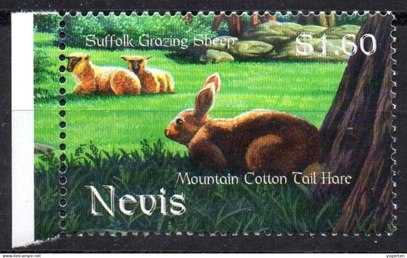 NEVIS - 1v - MNH - Hare - Lapin Rabbit Kaninchen Conejo Coniglio Lapins Rabbits Hase Conejos Conigli - Konijnen