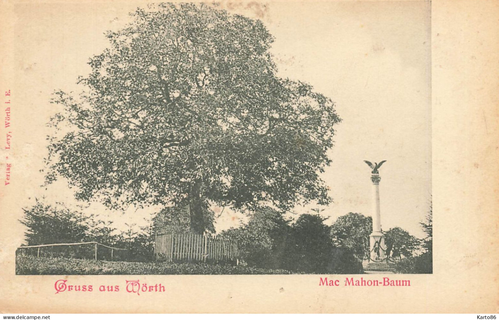 Gruss Aus Wörth , Woerth * Mac Mahon Baum - Wörth