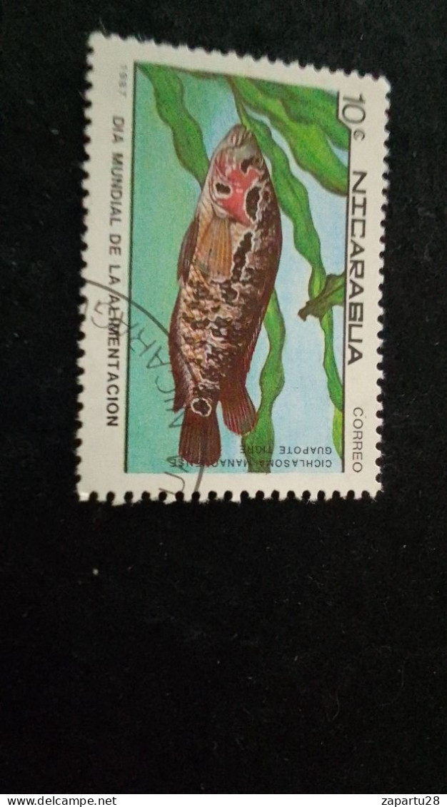 NİARAGUA-1970-80     10  CORD  DAMGALI - Nicaragua