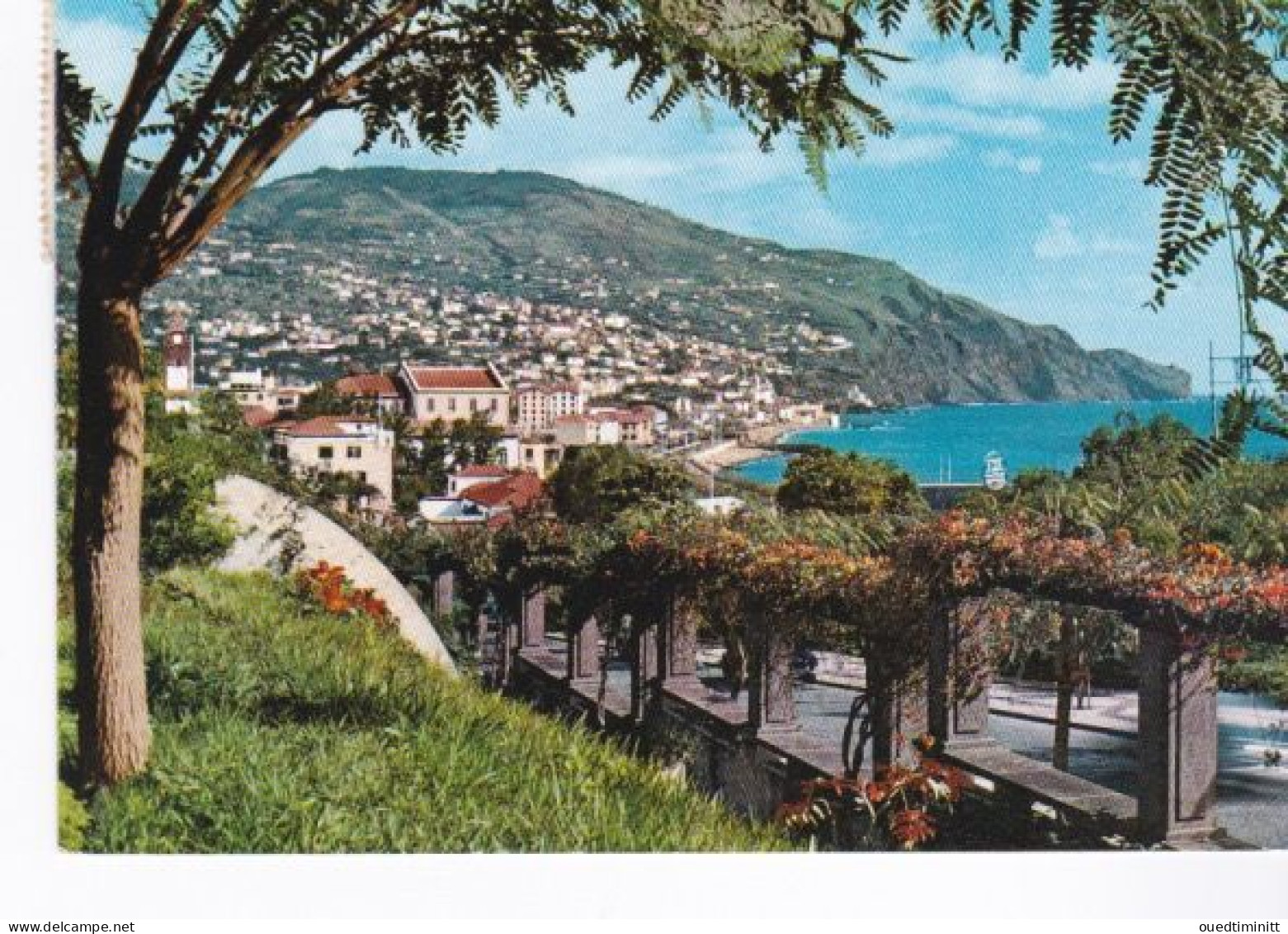Cpsm Gf Funchal, Madeira.1963. - Madeira