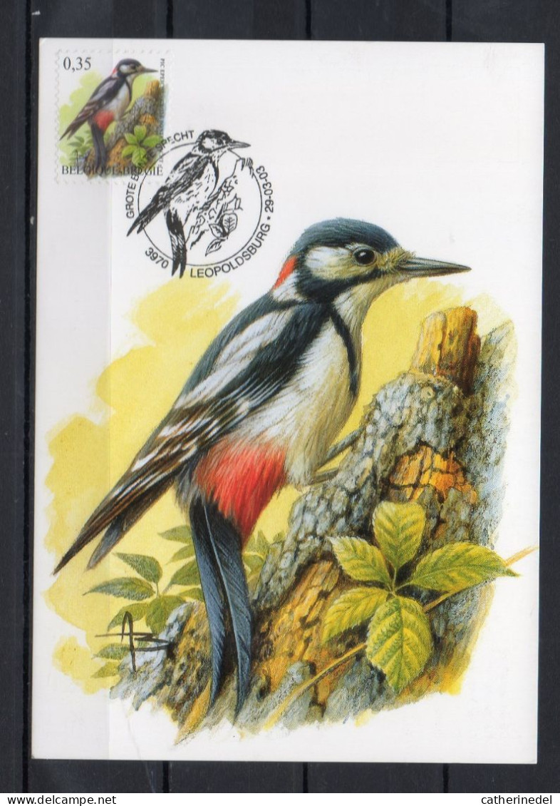 Année 2003 : Carte Maximum 3162 - Oiseaux - Pic épeiche - Buzin - Obli. Léopoldsburg - 2001-2010