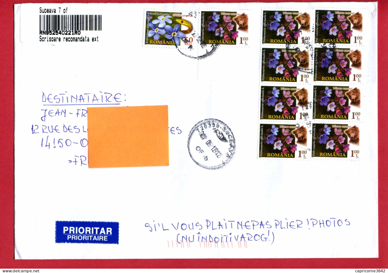 2002 - Roumanie - Lettre Recommandée Pour La France - 9 Tp PULMONARIA OFFICINALIS - (Enveloppe 23 X 15cm) - Postmark Collection