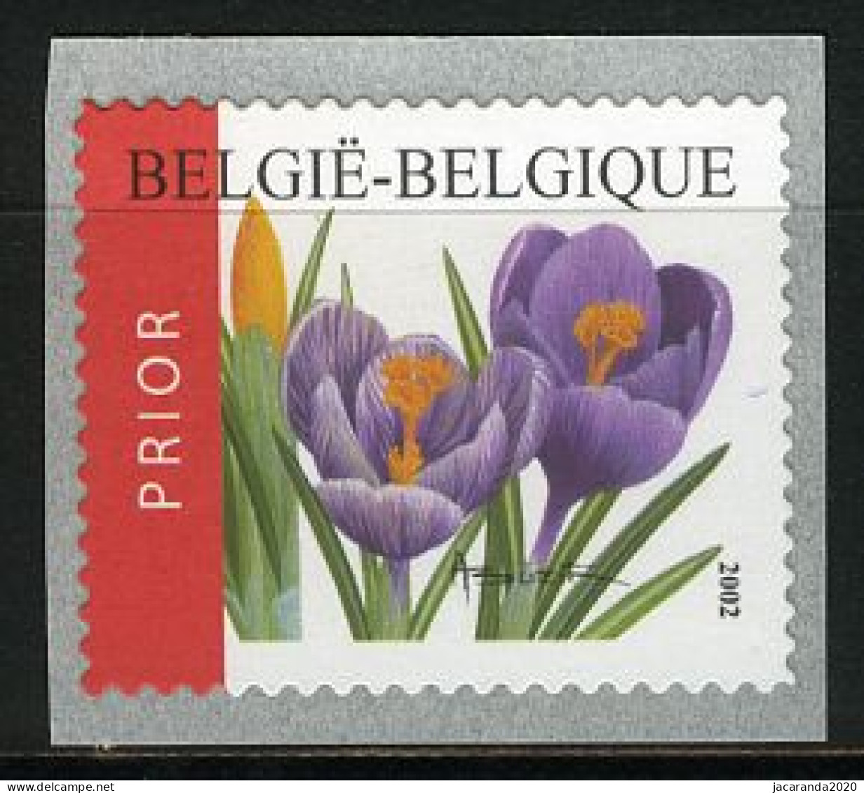 België R105 - Bloemen - Buzin (3142) - Crocus Vernus - 2002 - Zelfklevende Rolzegel - Coil Stamps