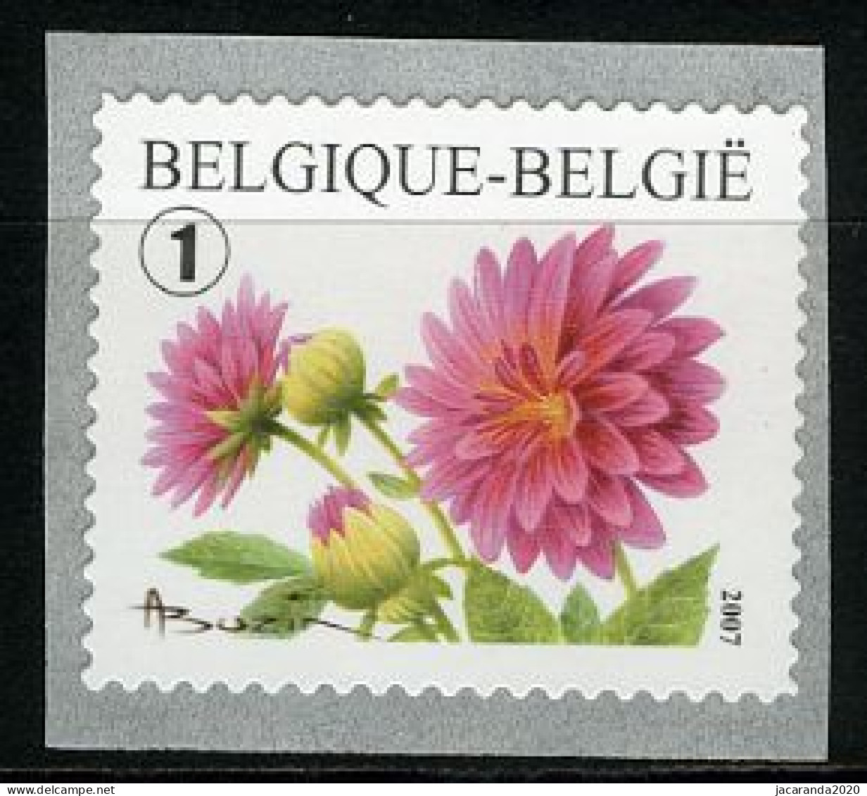 België R111 - Bloemen - Buzin (3684) - Dahlia - 2007 - Zelfklevende Rolzegel  - Rollen