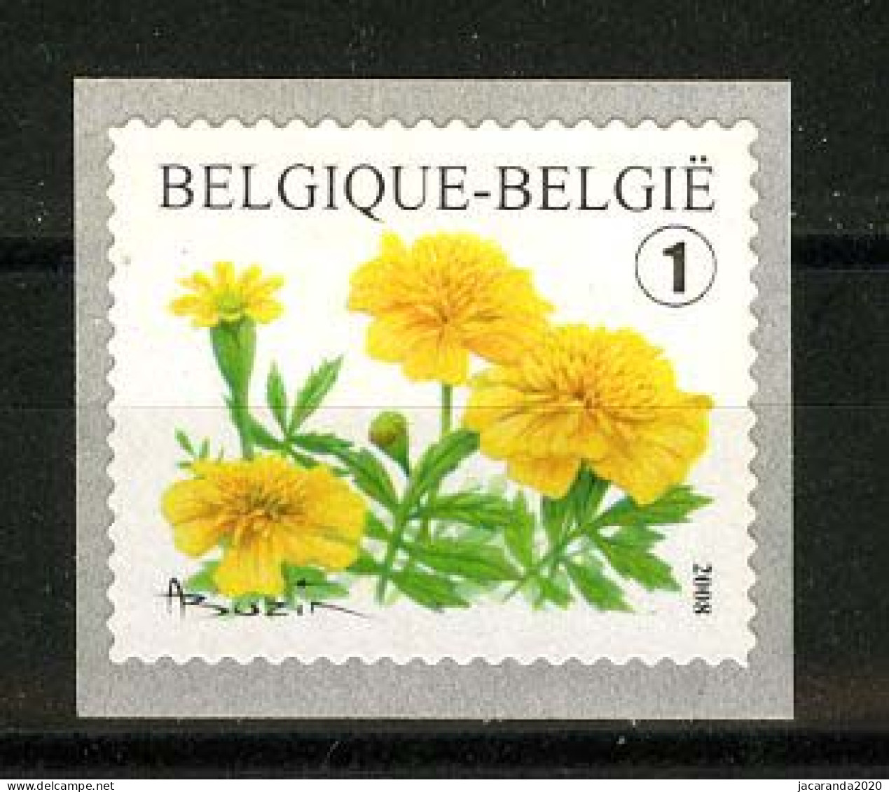 België R113 - Tagetes Patula - Buzin - Rolzegel Zonder Nummer - Rouleaux