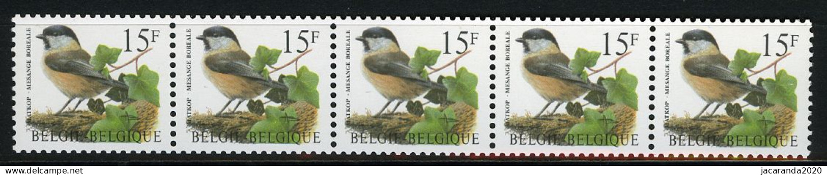 België R83 - Vogels - Oiseaux - Buzin (2732) - 15F - Matkop - Strook Met 5 Cijfers - KOPSTAAND - Bande Avec 5 Chiffres - Rouleaux