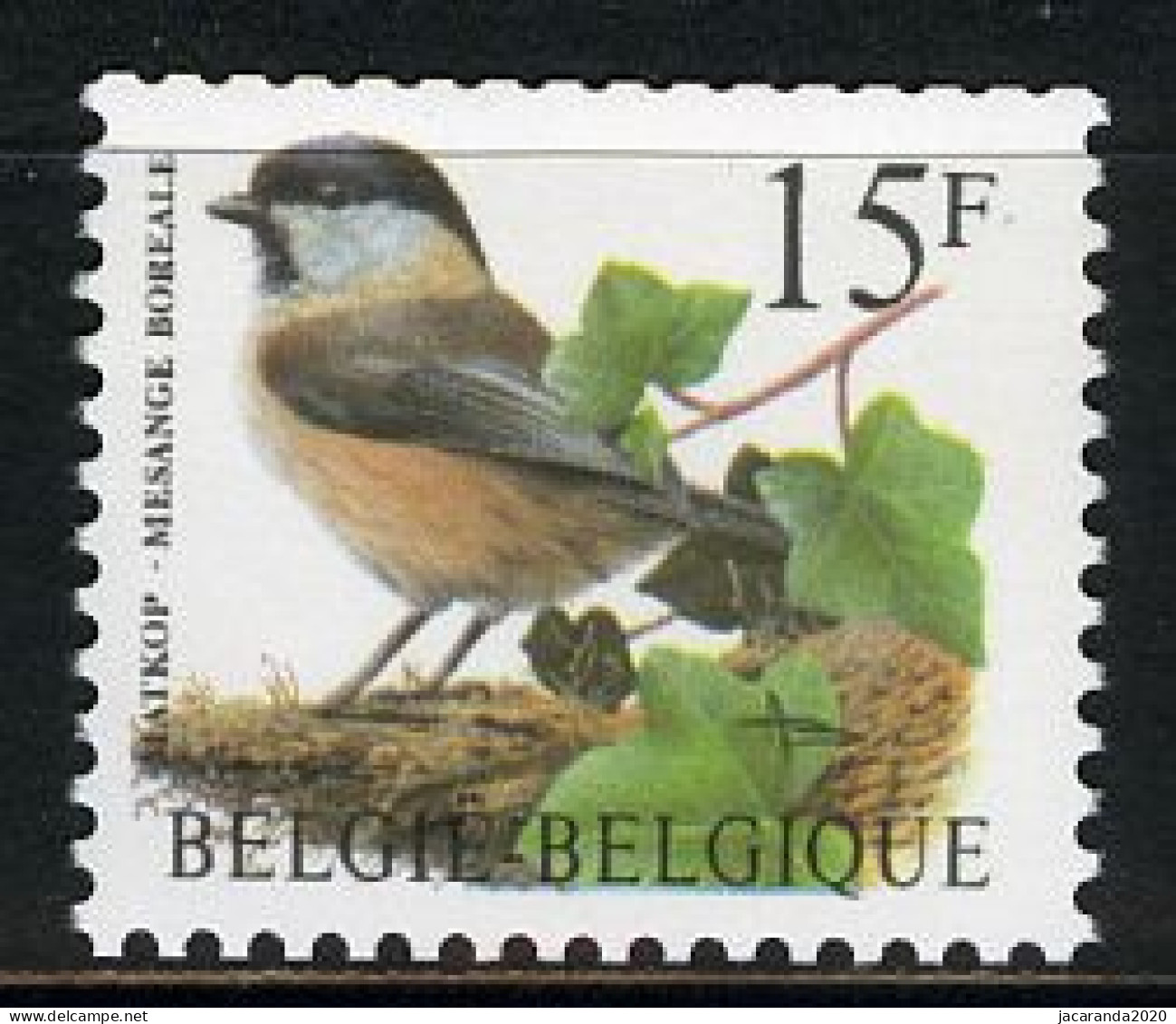 België R82 - Vogels - Oiseaux - Buzin (2732) - 15F - Matkop - Rolzegel Met 5 Cijfers - RECHT - Avec Numéro Au Verso - Rouleaux