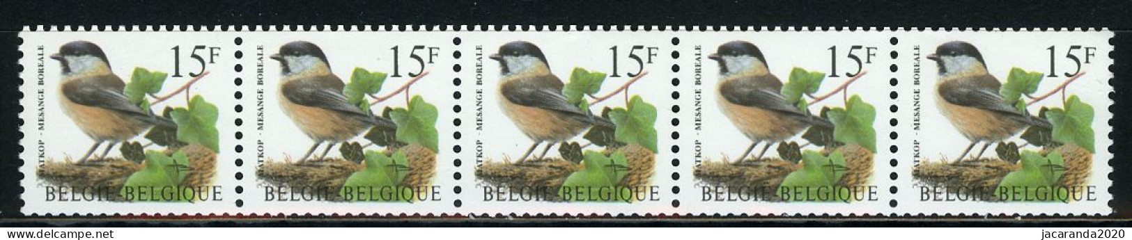 België R83 - Vogels - Oiseaux - Buzin (2732) - 15F - Matkop - Strook Met 5 Cijfers - RECHT - Bande Avec 5 Chiffres - Francobolli In Bobina