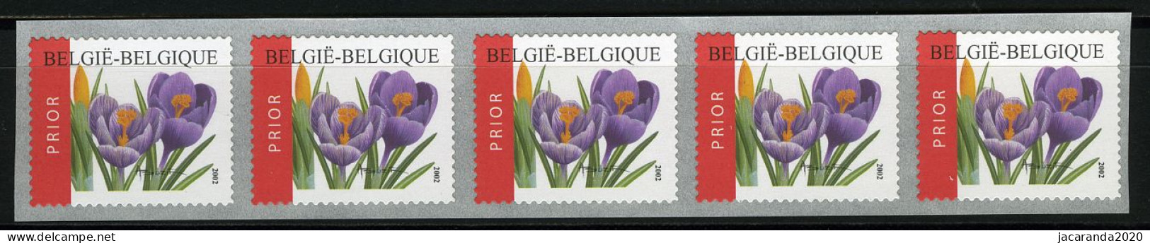 België R106 - Bloemen - Buzin (3142) - Crocus Vernus - 2002 - Strook Van 5 - Bande De 5  - Rollen