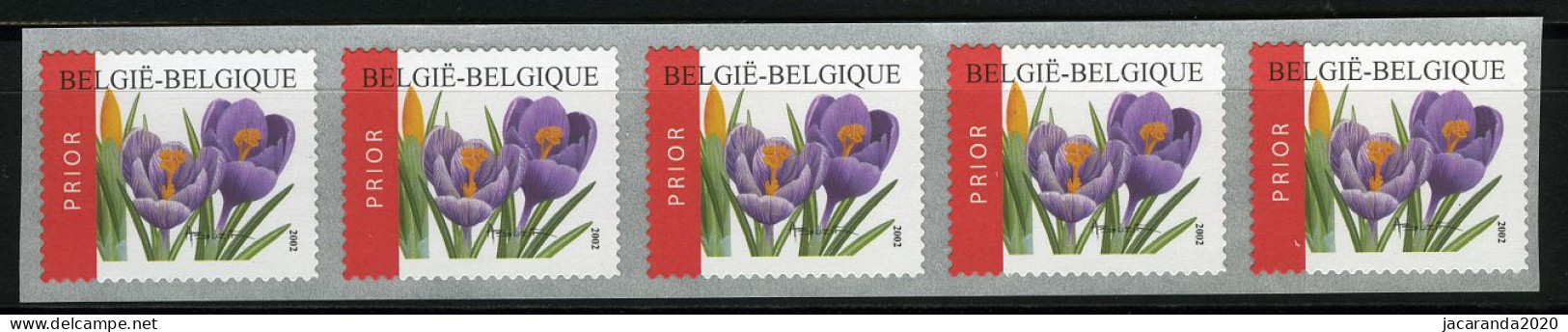 België R106 - Bloemen - Buzin (3142) - Crocus Vernus - 2002 - Strook Van 5 - Bande De 5  - Coil Stamps
