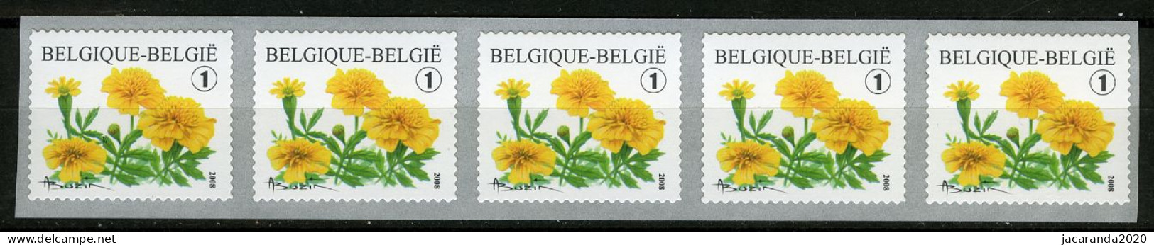 België R114 - Bloemen - Buzin (3824) - Tagetes Patula - Afrikaantje - 2008 - Strook Van 5 - Bande De 5 - Zonder Nummer - Francobolli In Bobina