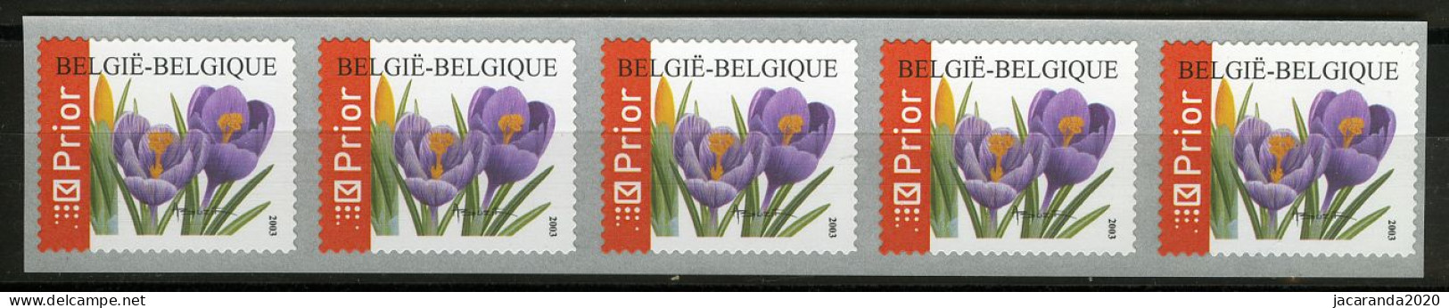 België R108 - Bloemen - Buzin (3227) - Crocus Vernus - 2003 - Strook Van 5 - Bande De 5  - Rollen