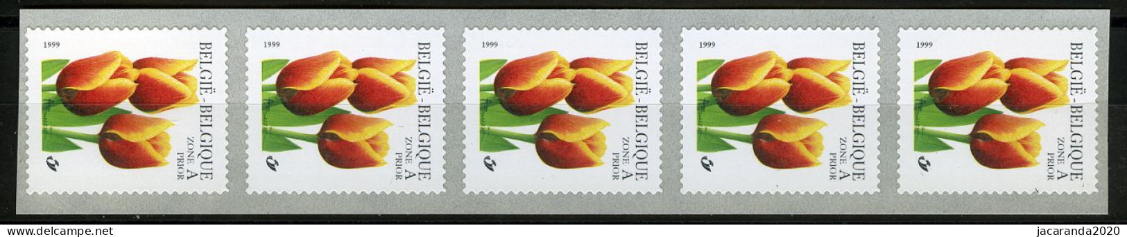 België R93 - Bloemen - André Buzin (2855) - Tulp - Strook Van 5 - Bande De 5  - Coil Stamps
