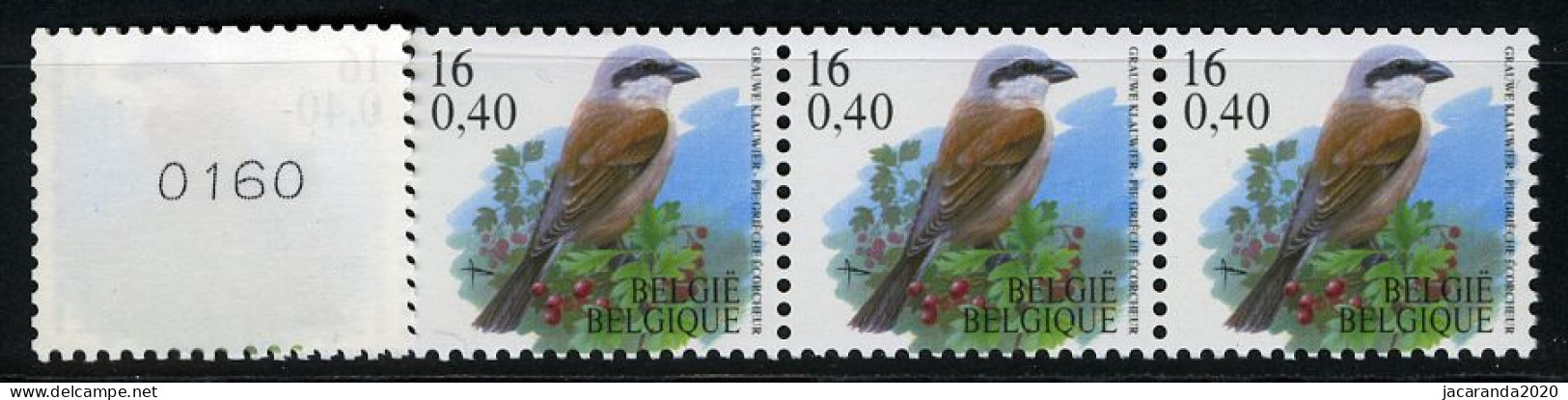 België R96a - Vogels - Oiseaux - Buzin (2931) - 16F - Grauwe Klauwier - Strook Met 4 Kleine Cijfers - RECHT  - Rollen