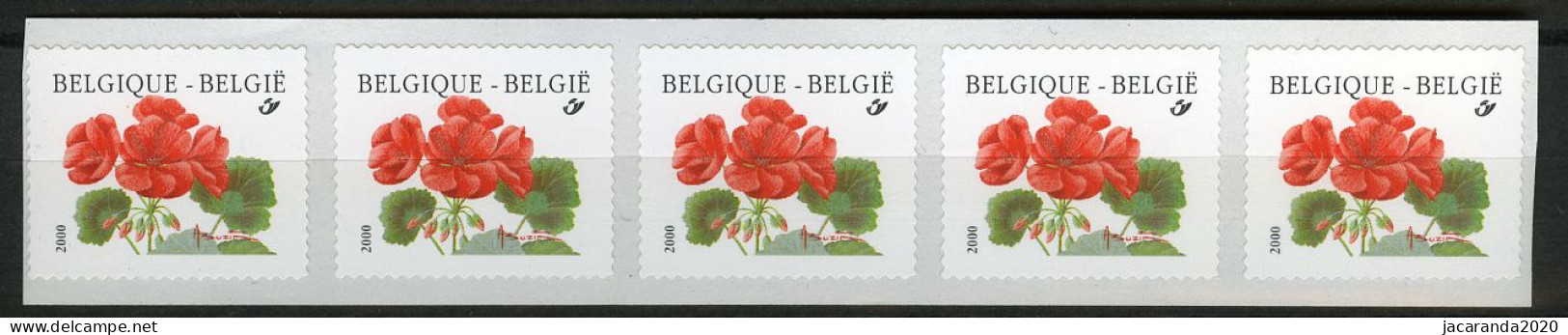 België R104 - Bloemen - Buzin (2977) - Geranium - 2000 - Strook Van 5 - Bande De 5  - Rouleaux