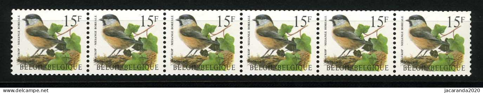 België R81a - Vogels - Oiseaux - Buzin (2732) - Strook Van 6 ZONDER NUMMER - SANS NUMERO - ZELDZAAM - RARE - Rollen