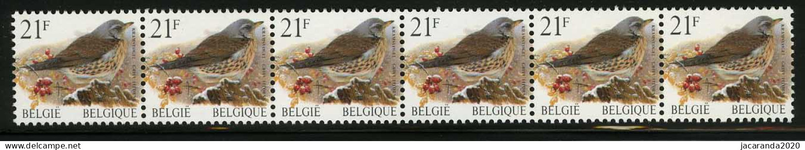 België R87a - Vogels - Oiseaux - Buzin (2792) - Strook Van 6 ZONDER NUMMER - SANS NUMERO - UITERST ZELDZAAM - RRR - SUP - Rollen