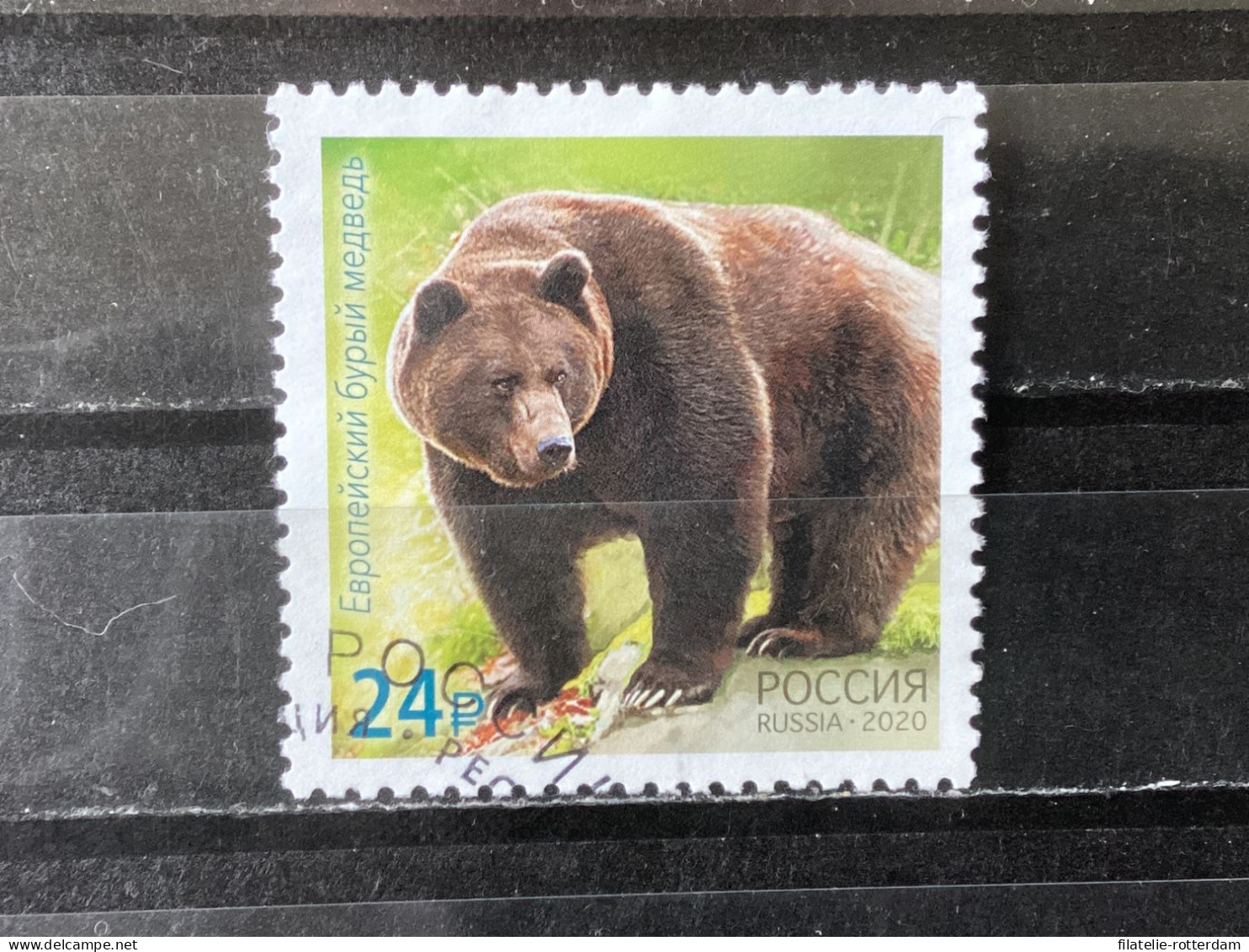 Russia / Rusland - Bears (24) 2020 - Used Stamps
