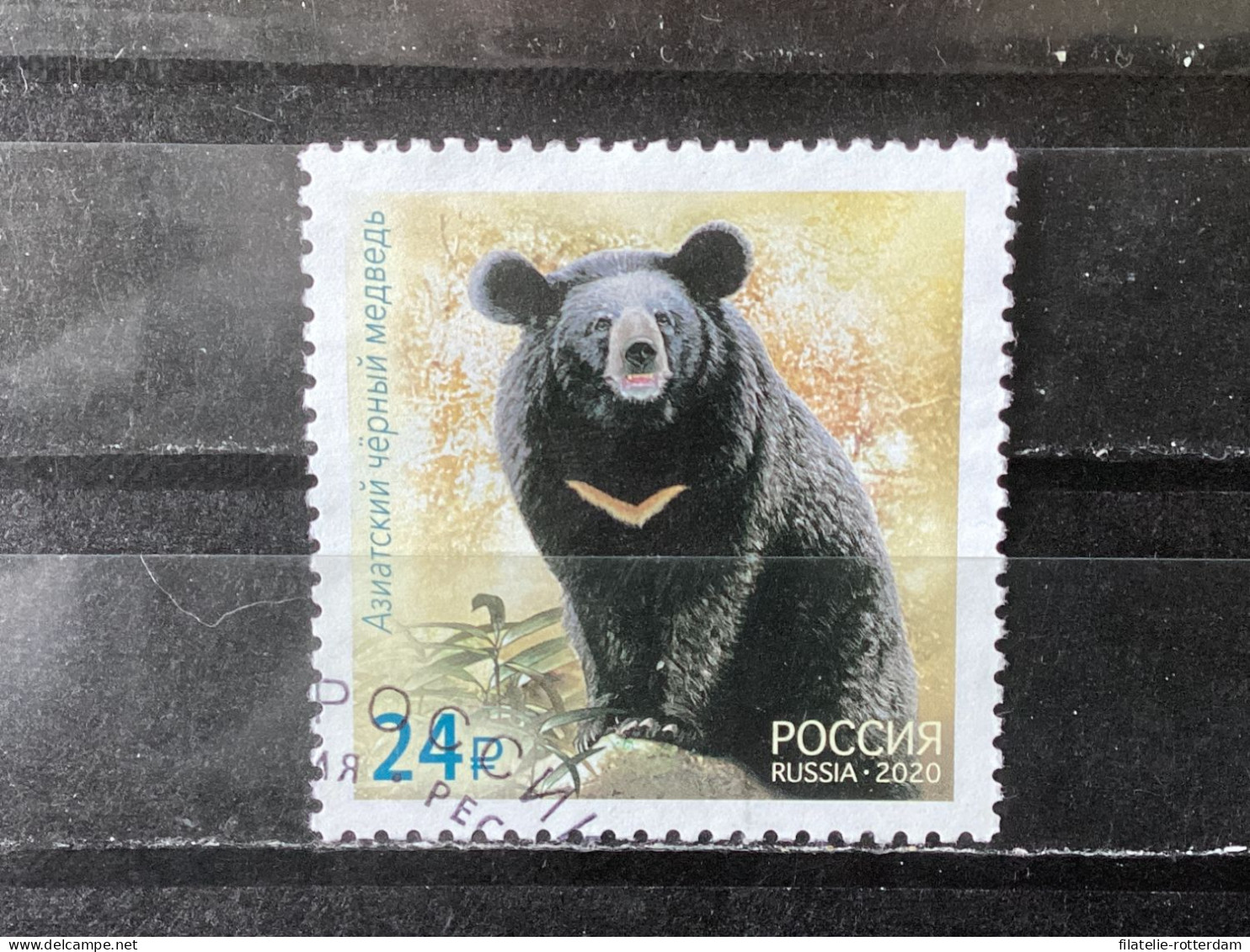 Russia / Rusland - Bears (24) 2020 - Gebruikt