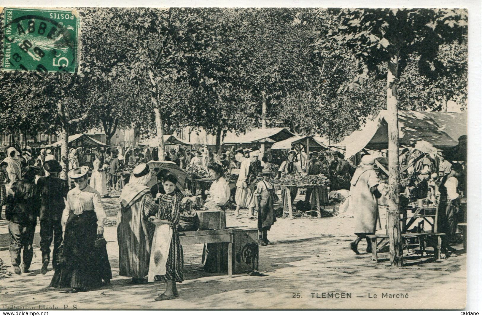 - AFRIQUE- ALGERIE- TLEMCEN - Le  Marché - Mercati