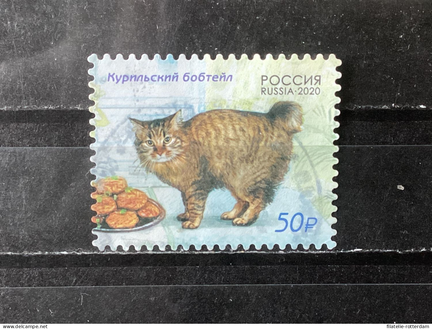 Russia / Rusland - Cats (50) 2020 - Oblitérés