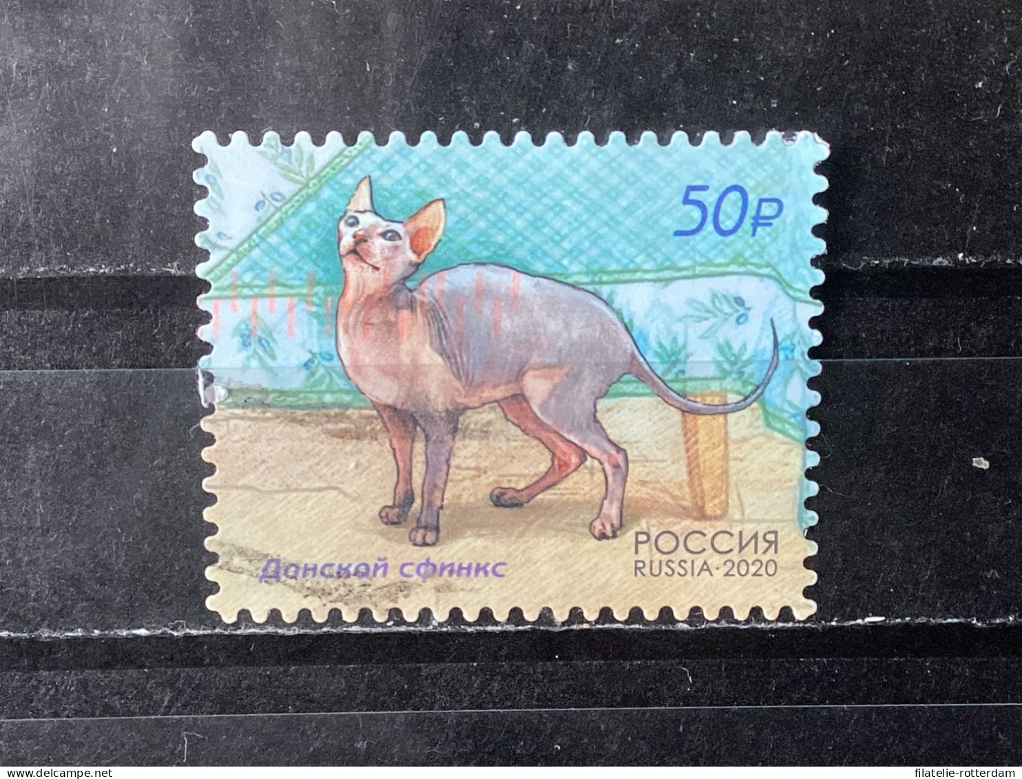 Russia / Rusland - Cats (50) 2020 - Used Stamps