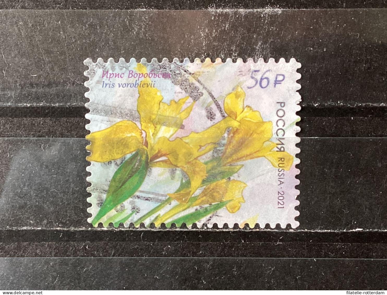 Russia / Rusland - Flowers (56) 2021 - Used Stamps