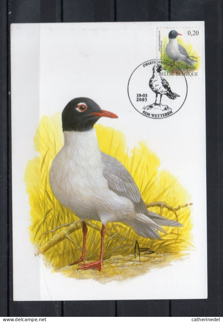 Année 2005 : Carte Maximum 3380 - Oiseaux - Mouette Melanocephale - Buzin - Obli. Wetteren - 2001-2010