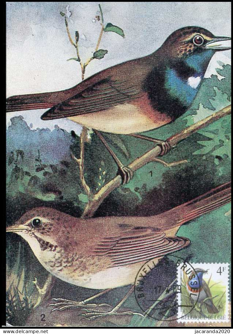 2321 - MK - Buzin : Vogels - Blauwborst #2 - 1981-1990